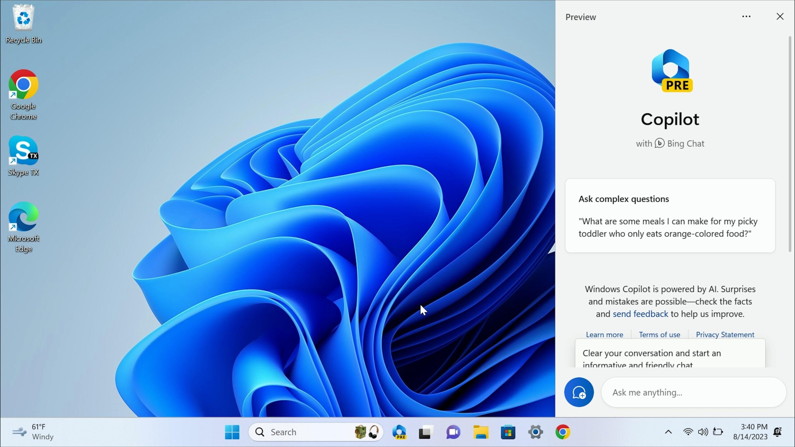 Windows Copilot
